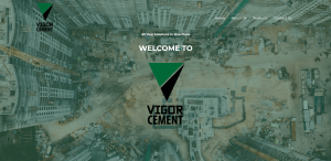 Vigor home screen snapshot